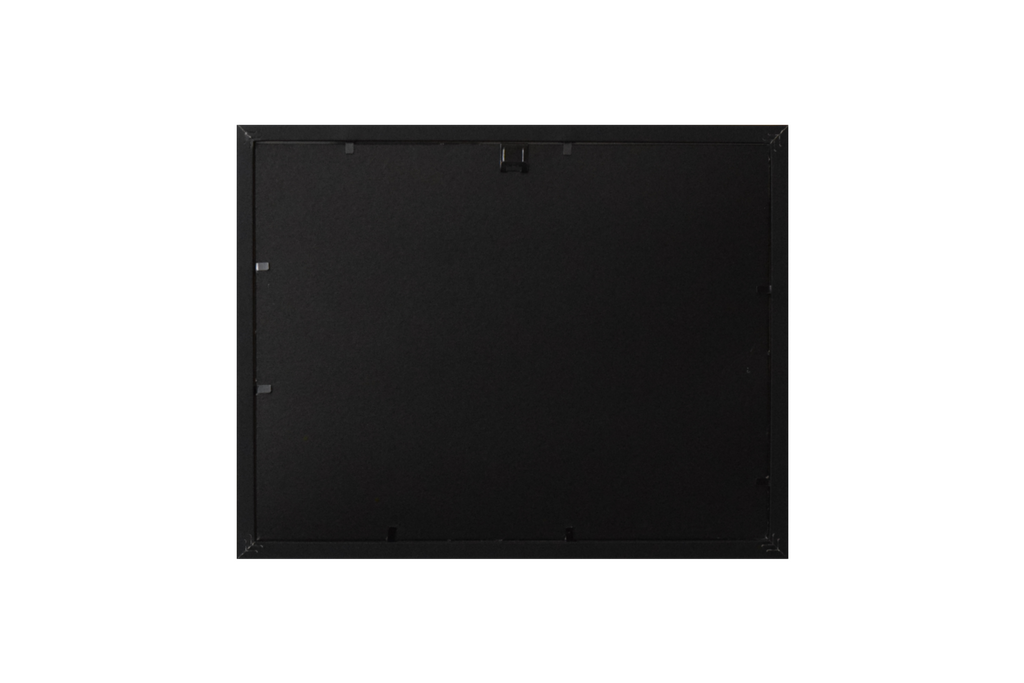 Fallout 4 Brotherhood Knight and the Sole Survivor Concept Art (Framed Poster)