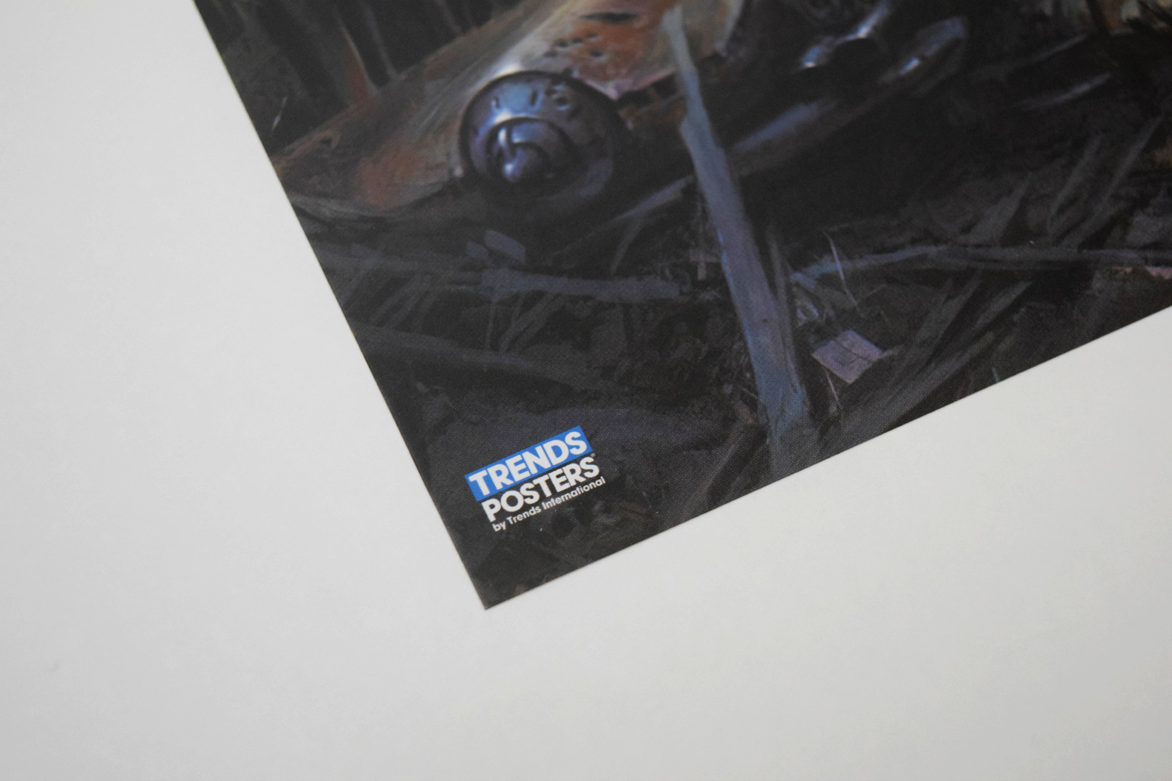 Fallout 4 Sole Survivor In Boston Concept Art (Framed Poster)